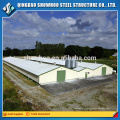 Weld H Column Beam Prefabricated Steel Chicken Shed Prefab Poultry House